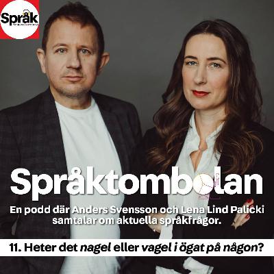 Heter det nagel eller vagel i ögat på någon? Språktombolan 11 Heter det nagel eller vagel i ögat på någon? Språktombolan 11