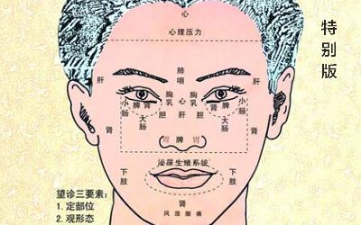 全息面诊第六课 全息面诊第六课
