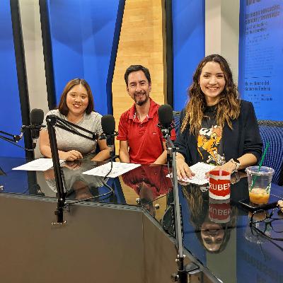 Podcast listo para la Consulta, las Elecciones y la Feria (con 😷)