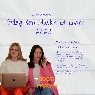 Bolag som stuckit ut under 2023