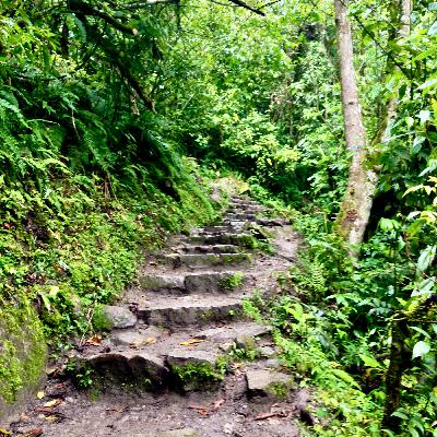 Guided Walking Meditation Guided Walking Meditation