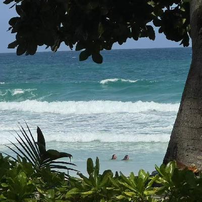 70. 夏末絮语，与读《我身上有个不可战胜的夏天》