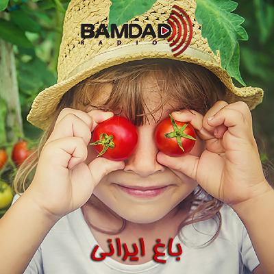 #120 - خرفه یا پر پهن