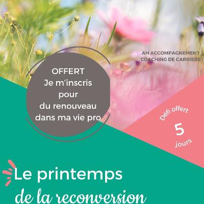 LE PRINTEMPS DE LA RECONVERSION - DEFI OFFERT - les blocages LE PRINTEMPS DE LA RECONVERSION - DEFI OFFERT - les blocages