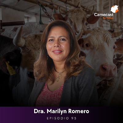 #95 - El bienestar animal antemortem y su impacto en la canal bovina - Dra. Marilyn Romero
