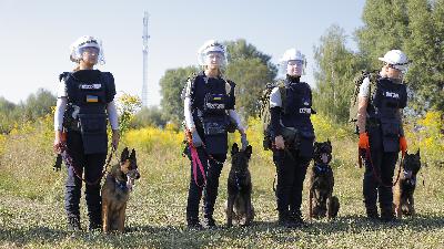 ‘Every day there’s new contamination’: Mine clearing in Ukraine ‘Every day there’s new contamination’: Mine clearing in Ukraine