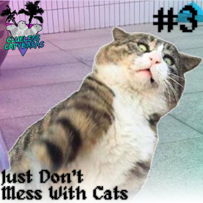 Just Don't Mess With Cats!