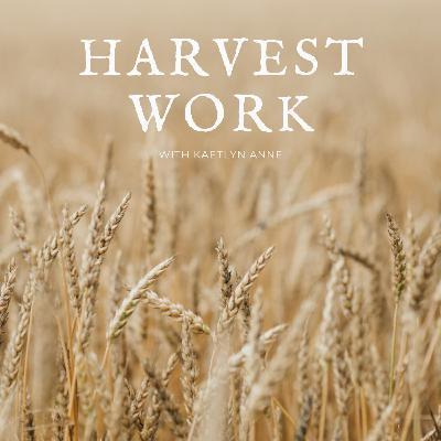 Ep 3: Q + A | Get To Know Me!