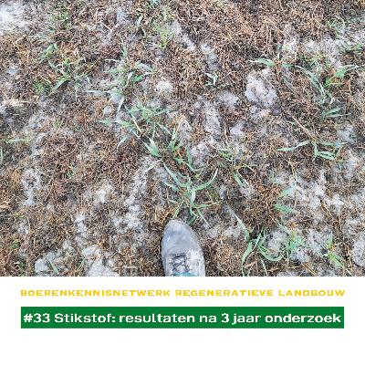 #33 Stikstofdynamiek: resultaten na drie jaar praktijkonderzoek