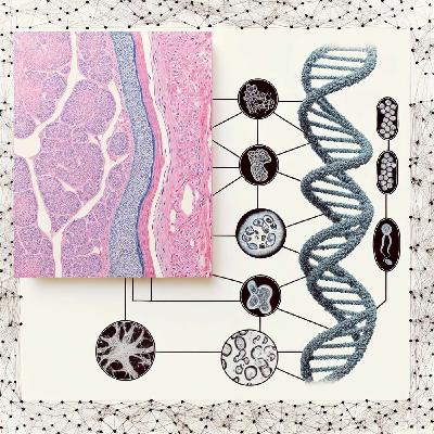 Foundation Model Series: Transforming Biology with Zelda Mariet from Bioptimus