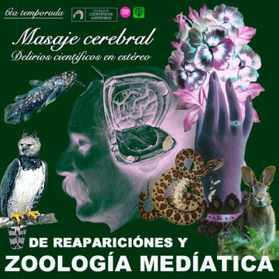 REAPARICIONES Y ZOOLOGÍA MEDIÁTICA