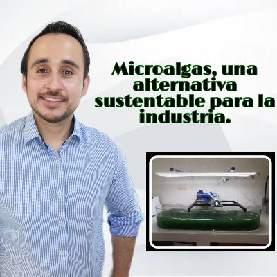 36. Microalgas, una alternativa sustentable para la industria.