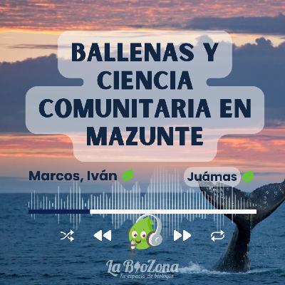Biozona 66. Ballenas y ciencia comunitaria en Mazunte Biozona 66. Ballenas y ciencia comunitaria en Mazunte