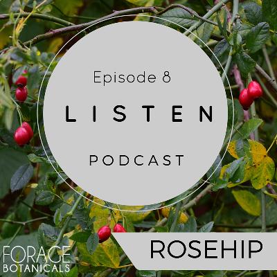 E08 Rosehip