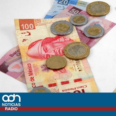 ¿A dónde van tus impuestos?
