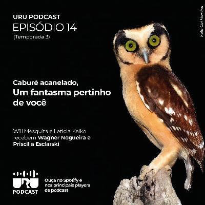 #041 - Caburé-acanelado: um fantasma pertinho de você com Priscilla Esclarski e Wágner Nogueira