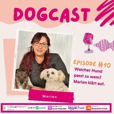 #10 Welcher Hund passt zu wem? Marion klärt auf! #10 Welcher Hund passt zu wem? Marion klärt auf!