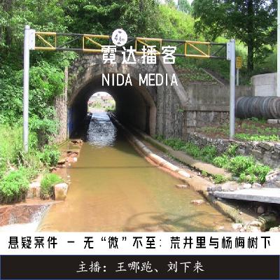 116. 无“微”不至(2)：荒井里与杨梅树下