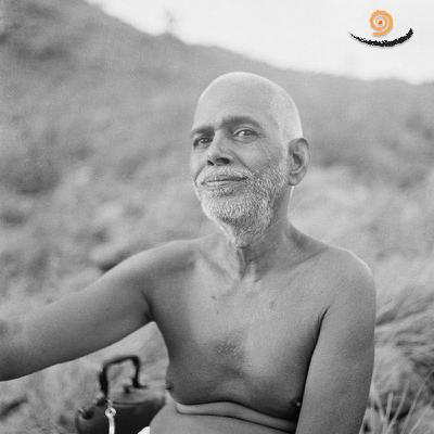 7. Self Knowledge is Very Easy ! - Non Duality Satsang
