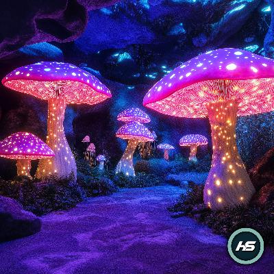 Ambient Mushroom Sanctuary Soundscape Ambient Mushroom Sanctuary Soundscape