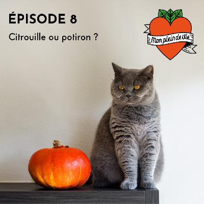 CITROUILLE OU POTIRON ? LES COURGES VOUS DISENT TOUT