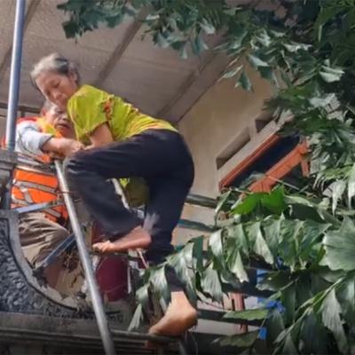 Thị thành ký: Lái đò Chùa Hương cứu trợ ngập lụt ở Thái Nguyên, Bắc Ninh: trèo mái nhà, chui bụi tre giải cứu người dân