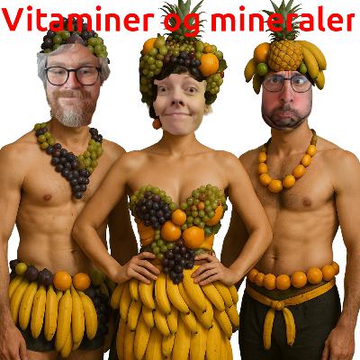 Vitaminer og mineraler