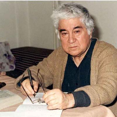 مرور کتاب - گلچینی از نوشته‌های عزیز - نویسنده طنز ترکیه ای