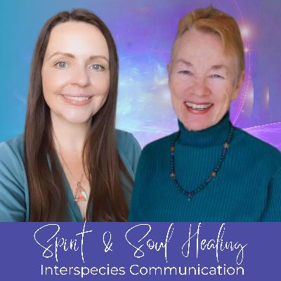 Transformative Power of Telepathic Connection In Interspecies Communication with Penelope Smith