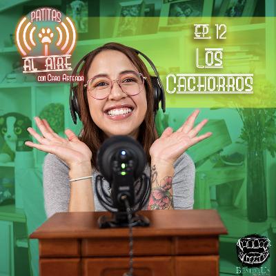 E.12 - Los Cachorros. E.12 - Los Cachorros.
