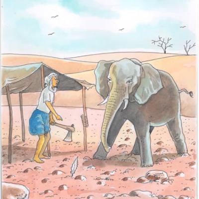 Pourquoi l’éléphant a peur du coq ? Por que o elefante tem medo do galo?