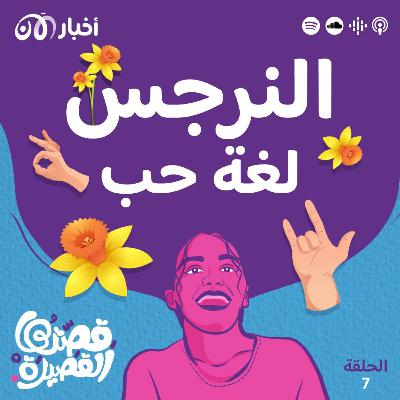 النرجس لغة حب النرجس لغة حب