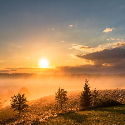 E179: It's a Beautiful New Year