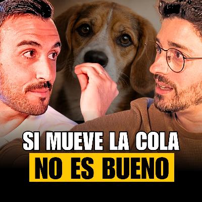 Psicólogo de PERROS: ¿Cómo Educarlos Bien? - Campeón Mundial Obediencia Andreu Fernández (NADOG)