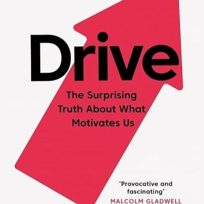 Drive: The Surprising Truth About What Motivates Us