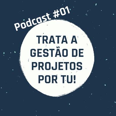 #01 - Risco, Comunicação e Obstinação