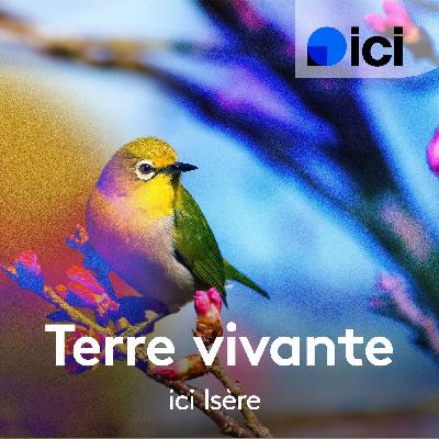 Un habitat inclusif dans le Trièves