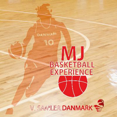 MJ Experience - Udfordringer ved skadesforløb