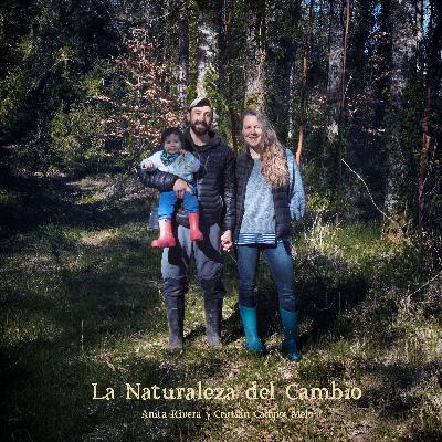 T2: Capítulo 2 - Los Sentidos