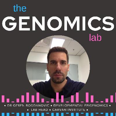 Non-CG Methylation and its Role in Development with Dr Ozren Bogdanovic