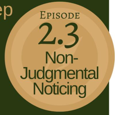 Non-Judgmental Noticing