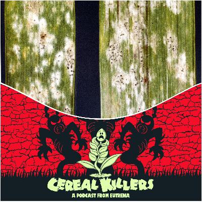 POWDERY MILDEW! POWDERY MILDEW!