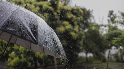 Weather Forecast