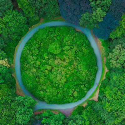 Curious Minds, Ep. 4: Holly Butterworth (Specialist Advisor, Natural Resources Wales)