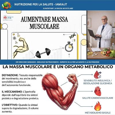 #083-26 AUMENTARE LA MASSA MUSCOLARE