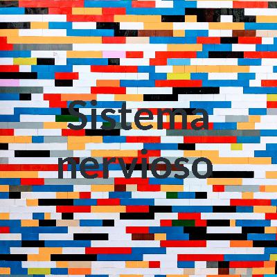 Sistema nervioso