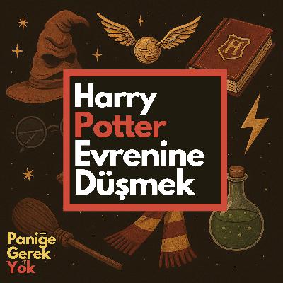Harry Potter Evrenine Düşmek