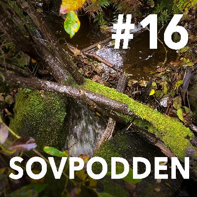 16. En bäck vid åkerkanten 16. En bäck vid åkerkanten