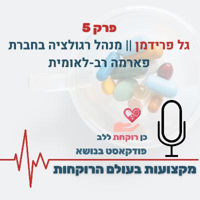 פרק 5 - גל פרידמן - מנהל רגולציה פרק 5 - גל פרידמן - מנהל רגולציה