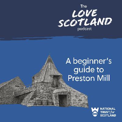 A beginner's guide to Preston Mill A beginner's guide to Preston Mill